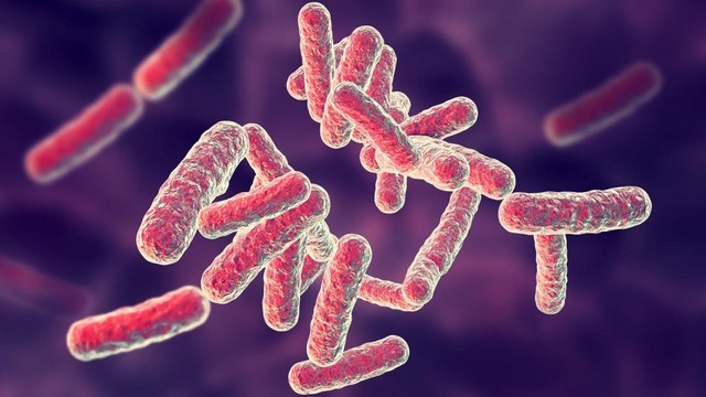 bai-viet/pseudomonas-xam-nhap-vao-co-the-bang-cach-nao-cach-dieu-tri-nhiem-trung-pseudomonas.html