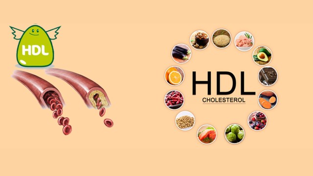 bai-viet/cach-tang-chi-so-hdl-cholesterol-bao-ve-suc-khoe-tim-mach.html
