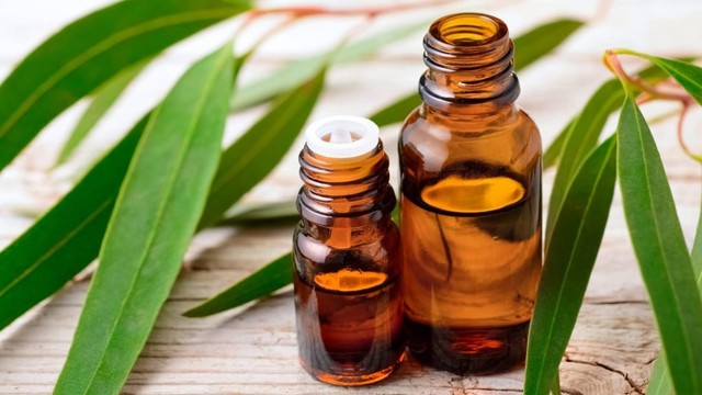 bai-viet/cach-tri-lang-beng-o-tre-so-sinh-hieu-qua-tai-nha-ma-ba-me-khong-nen-bo-qua-53368.html