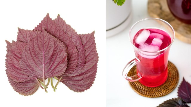 bai-viet/hoc-cach-uong-la-tia-to-cua-nguoi-nhat-de-cham-soc-suc-khoe.html