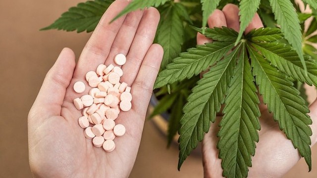 bai-viet/can-sa-va-cac-hoat-chat-tac-dung-trong-y-te-55061.html