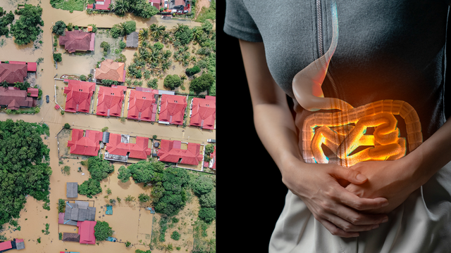 bai-viet/canh-bao-moi-lo-ngai-ve-an-toan-thuc-pham-trong-va-sau-ngap-lut.html