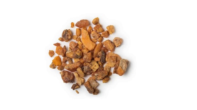 bai-viet/canh-kien-trang-la-gi-cong-dung-va-cach-dung-canh-kien-trang.html