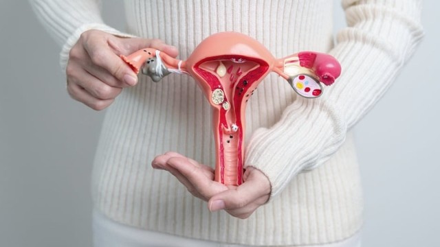 bai-viet/cat-polyp-co-tu-cung-het-bao-nhieu-tien.html