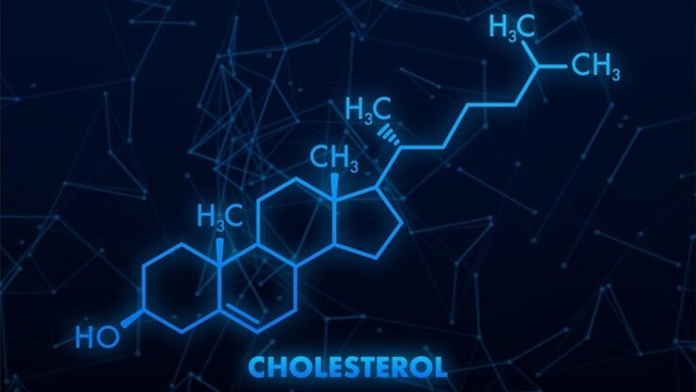 bai-viet/cau-tao-cholesterol-co-lien-quan-gi-den-vai-tro-cua-thanh-phan-nay-trong-co-the.html