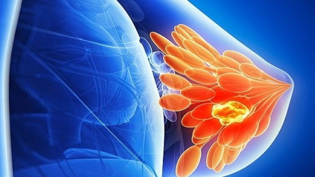 bai-viet/cau-tao-chuc-nang-cua-tuyen-vu-va-cac-benh-ly-thuong-gap.html