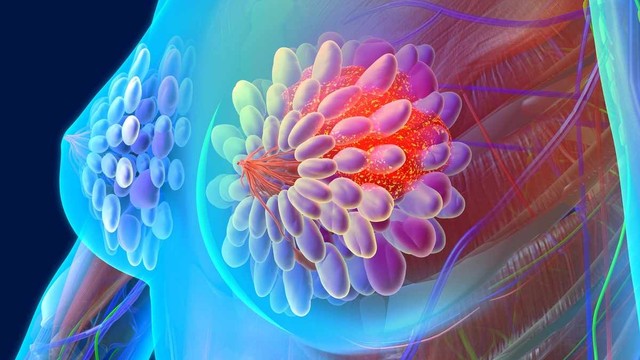 bai-viet/cau-tao-cua-vu-va-nhung-luu-y-ve-vu-khong-phai-ai-cung-hieu-ro.html