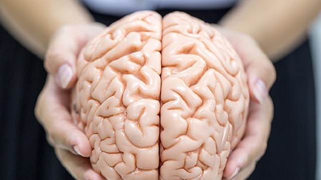 bai-viet/cau-tao-va-mot-so-chuc-nang-cua-dai-nao-63232.html