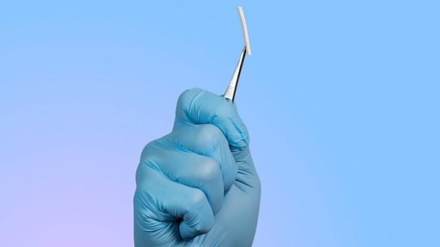 bai-viet/cay-que-tranh-thai-bao-lau-thi-co-tac-dung-nhung-dieu-can-biet.html