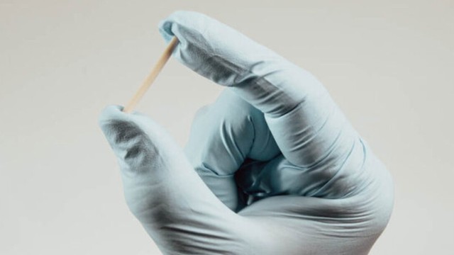 bai-viet/cay-que-tranh-thai-o-dau-nhung-tieu-chi-lua-chon-dia-chi-cay-que-tranh-thai.html