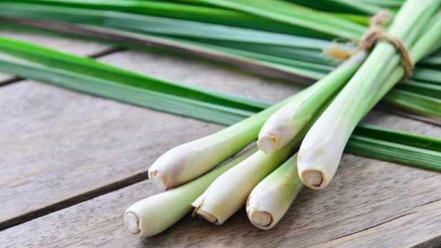 bai-viet/luu-ngay-cach-duoi-muoi-bang-sa-vua-hieu-qua-vua-thom-nha.html