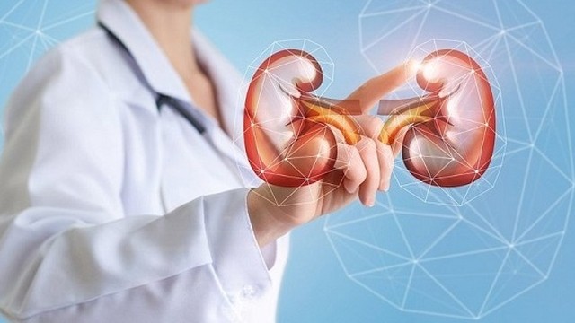 bai-viet/top-4-cay-thuoc-nam-ho-tro-bo-than-trang-duong-hieu-qua.html