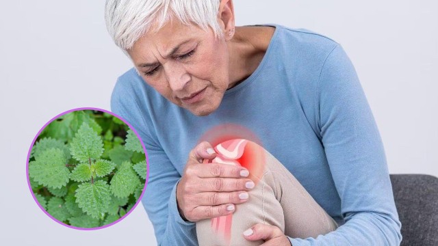 bai-viet/su-dung-cay-thuoc-nam-tri-gai-khop-goi-co-mang-den-hieu-qua-khong.html