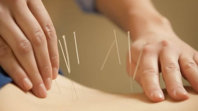 bai-viet/cham-cuu-co-thuc-su-tot-51317.html