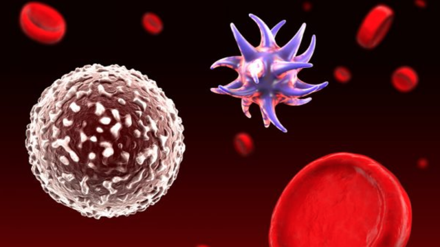 bai-viet/chan-doan-nhiem-khuan-huyet-theo-bo-y-te.html