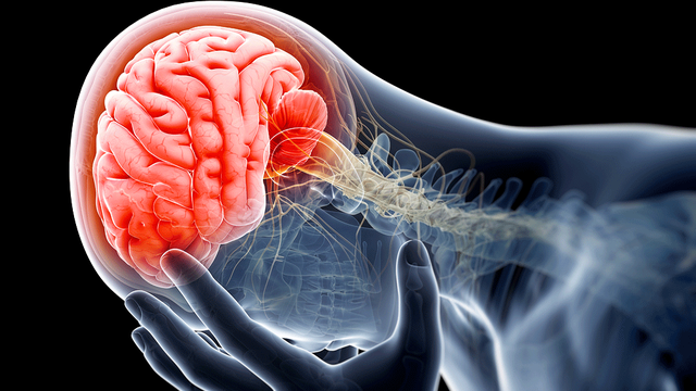 bai-viet/chan-thuong-so-nao-o-tre-em-nhung-dieu-can-biet.html