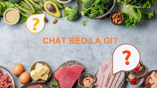bai-viet/chat-beo-la-gi-chat-beo-trong-co-the-co-may-loai-64726.html