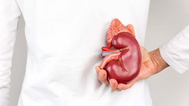 bai-viet/chay-than-va-ghep-than-la-gi-nen-lua-chon-chay-than-hay-ghep-than-khi-dieu-tri-66472.html