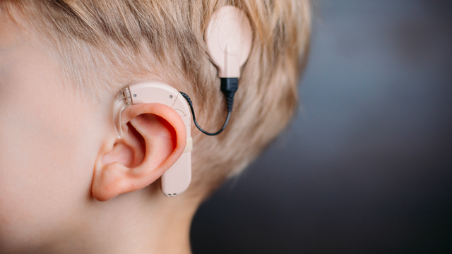 bai-viet/chi-phi-cay-oc-tai-dien-tu-khoang-bao-nhieu-co-hieu-qua-khong.html