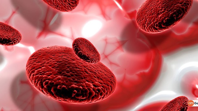 bai-viet/chi-so-xet-nghiem-tan-mau-bam-sinh-la-gi.html