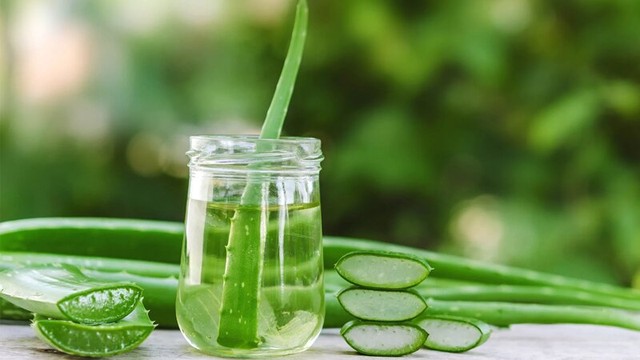 bai-viet/chiet-xuat-lo-hoi-la-gi-cong-dung-cua-lo-hoi-voi-suc-khoe-va-lan-da.html