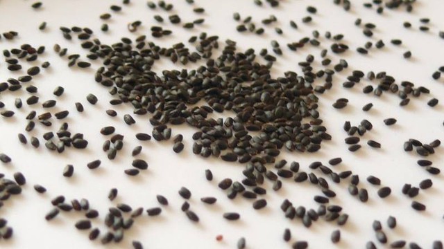 bai-viet/cho-con-bu-uong-hat-e-duoc-khong-cach-bo-sung-hat-e-tot-cho-me.html