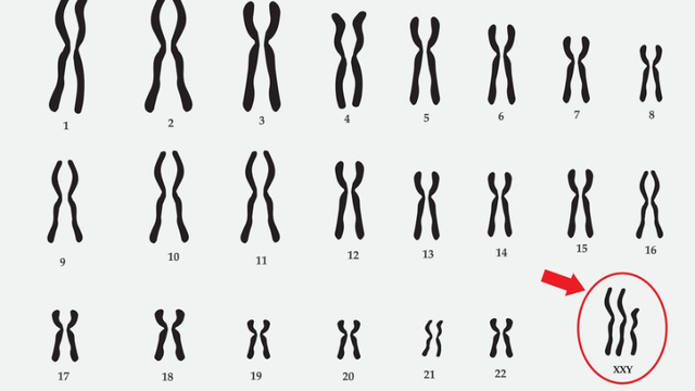 bai-viet/claiphento-la-gi-gay-anh-huong-kha-nang-sinh-san-nam-gioi-ra-sao.html