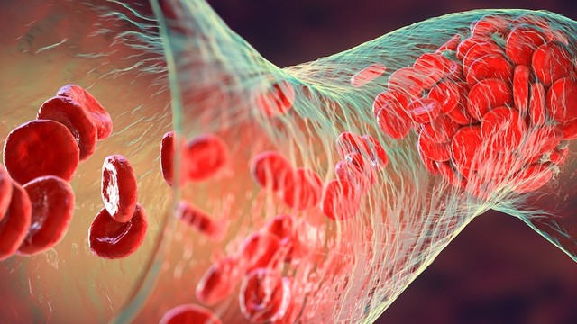 bai-viet/co-che-dong-cam-mau-la-gi-4-buoc-trong-qua-trinh-dong-cam-mau.html