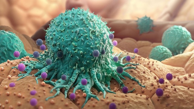 bai-viet/co-che-gay-benh-ung-thu-su-hinh-thanh-va-phat-trien-co-ban.html