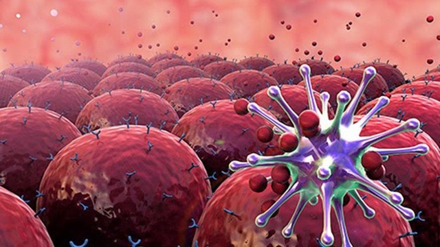 bai-viet/co-may-loai-mien-dich-cach-tang-cuong-he-mien-dich-cho-co-the-63023.html