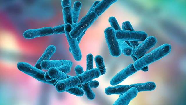 bai-viet/co-nen-bo-sung-postbiotics-nhung-dieu-ban-can-biet-ve-postbiotics.html