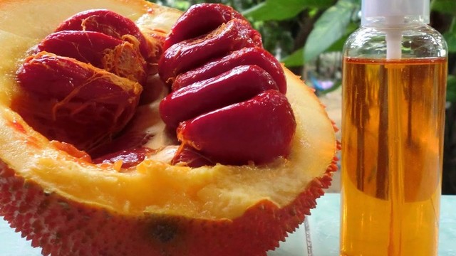 bai-viet/thac-mac-co-nen-uong-dau-gac-thuong-xuyen-khong-61933.html