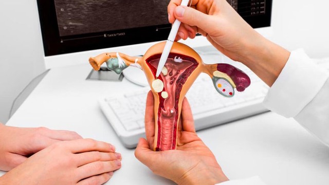 bai-viet/co-quan-sinh-duc-nu-la-gi-cau-tao-chuc-nang-co-quan-sinh-duc-nu.html