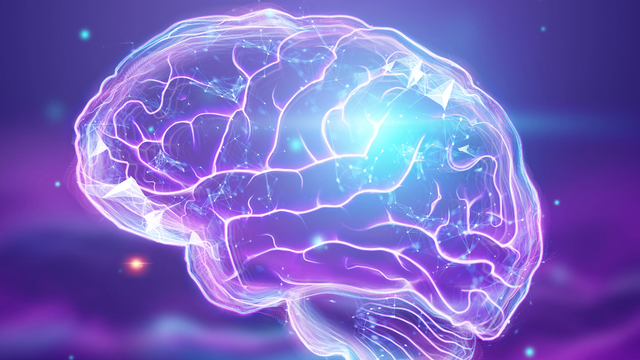 bai-viet/condition-ginkgo-ho-tro-tang-tuan-hoan-mau-cai-thien-tri-nho.html