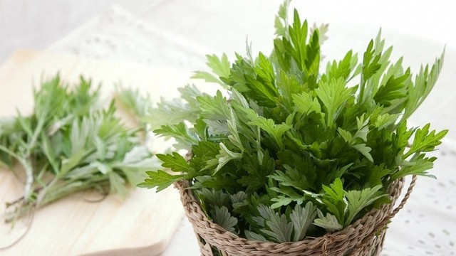 bai-viet/cong-dung-chua-dau-dau-bang-ngai-cuu.html