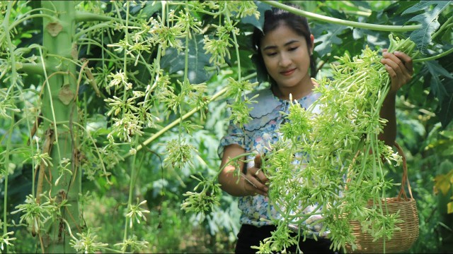 bai-viet/cong-dung-cua-bong-du-du-duc-doi-voi-suc-khoe.html