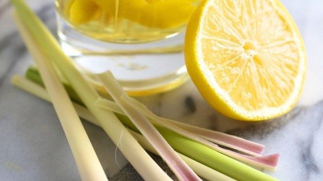 bai-viet/cong-dung-tuyet-voi-cua-tinh-dau-sa-chanh-co-the-ban-chua-biet-51745.html