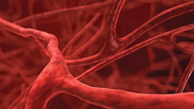 bai-viet/cong-thuc-vang-lam-sach-mach-mau-hieu-qua-50747.html