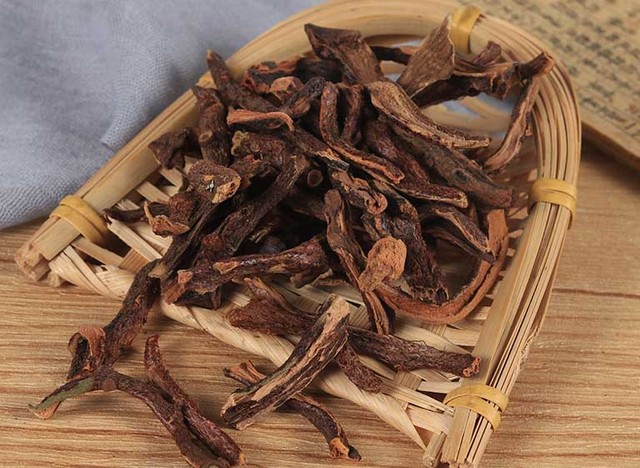 bai-viet/cot-toai-bo-la-gi-cot-toai-bo-co-tac-dung-gi-doi-voi-suc-khoe.html