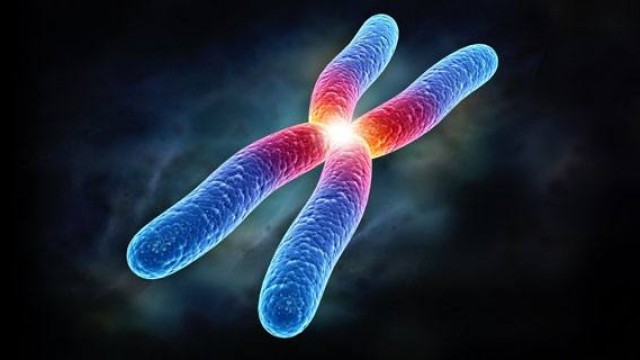 bai-viet/khai-niem-cromatit-la-gi-cac-benh-dot-bien-cromatit-thuong-gap.html