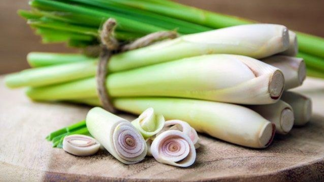 bai-viet/cu-sa-duoc-lieu-de-tim-va-da-cong-dung.html