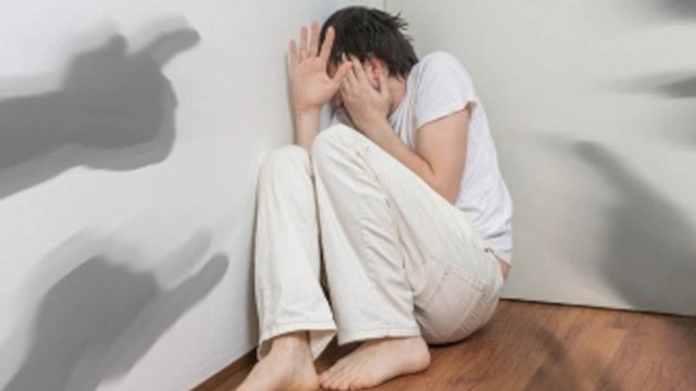 bai-viet/goc-tim-hieu-huong-dieu-tri-benh-tam-than-hoang-tuong.html