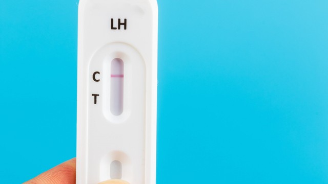 bai-viet/da-nang-buong-trung-thu-que-rung-trung-co-hieu-qua-58925.html