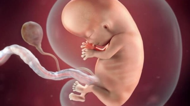 bai-viet/da-oi-khi-mang-thai-co-nguy-hiem-khong-khi-bi-da-oi-can-lam-gi.html