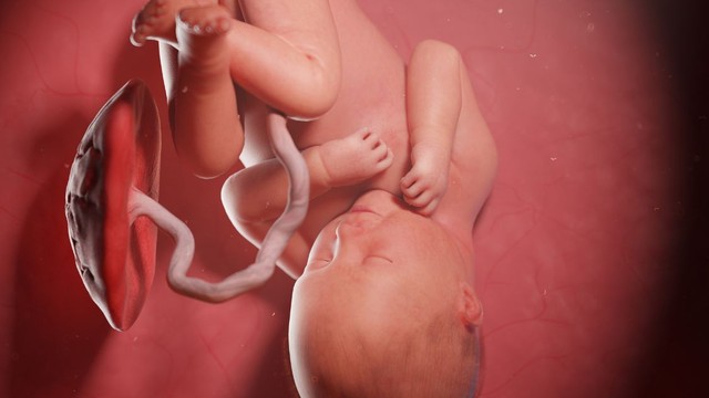 bai-viet/da-oi-o-tuan-37-lam-gi-de-dam-bao-an-toan-cho-me-va-be.html