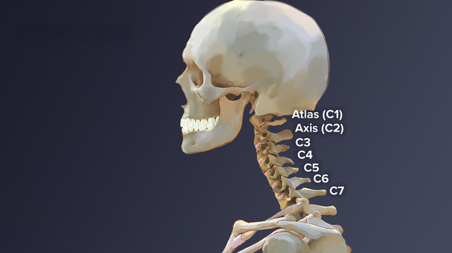 bai-viet/dac-diem-dot-song-co-va-tat-tan-tat-nhung-thong-tin-lien-quan.html