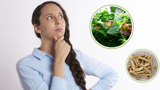 bai-viet/dang-sam-co-tac-dung-gi-cach-dung-dang-sam-tot-cho-suc-khoe.html