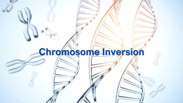 bai-viet/dao-doan-nhiem-sac-the-la-gi-dao-doan-nhiem-sac-the-co-anh-huong-nhu-the-nao.html