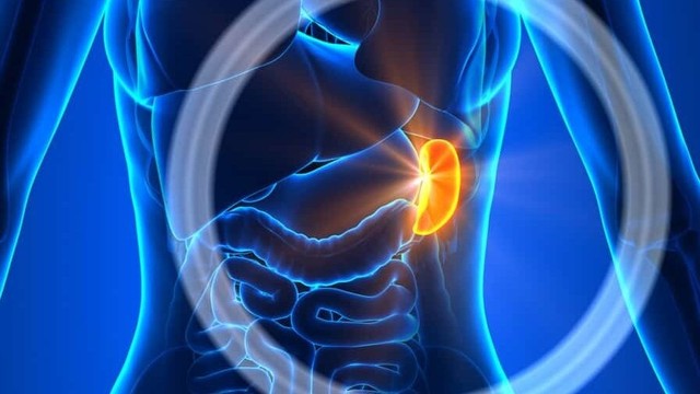 bai-viet/dap-la-lach-cap-do-2-co-nhung-dac-diem-gi-cac-buoc-chan-doan-benh.html