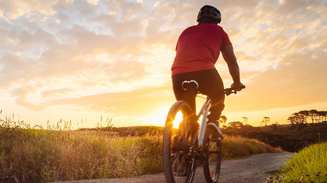 bai-viet/huong-dan-dap-xe-giam-can-dung-cach-an-toan-va-hieu-qua-cao.html